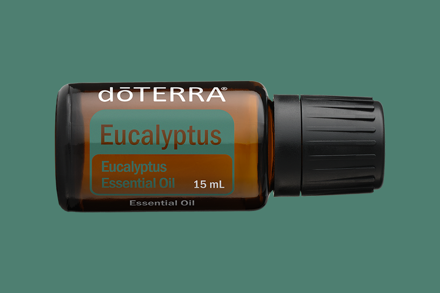 Eucalyptus Essential Oil | doTERRA Essential Oils